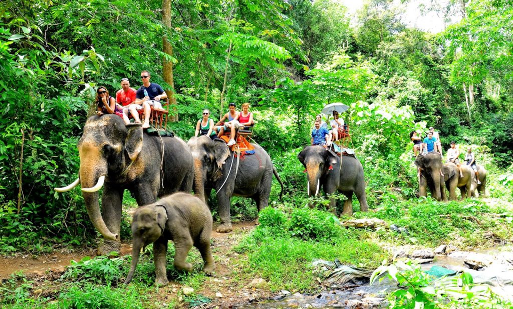 Safari in Phuket (1/2 day)